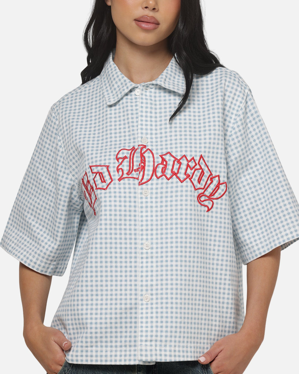 Ed Hardy Eagle Button Up Shirt Blue Pinstripe